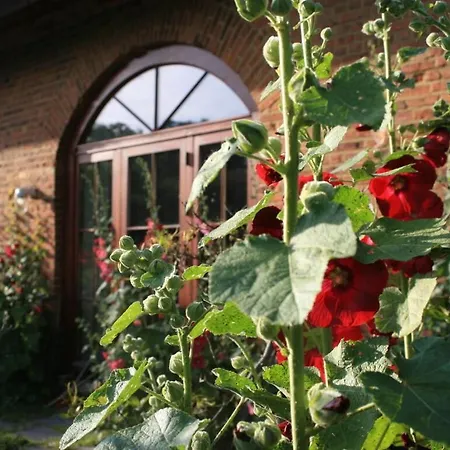 Quellenhof Comfortable Holiday Glashagen